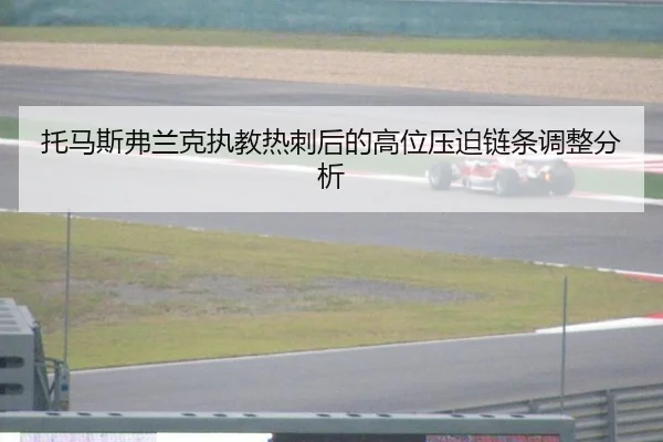 tuo-ma-si-fu-lan-ke-zhi-jiao-re-ci-hou-de-gao-wei-ya-po-lian-tiao-tiao-zheng-fen-xi-2-502.jpg